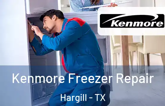  Kenmore Freezer Repair Hargill - TX