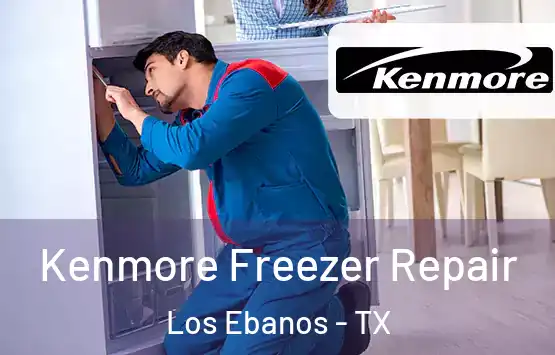  Kenmore Freezer Repair Los Ebanos - TX