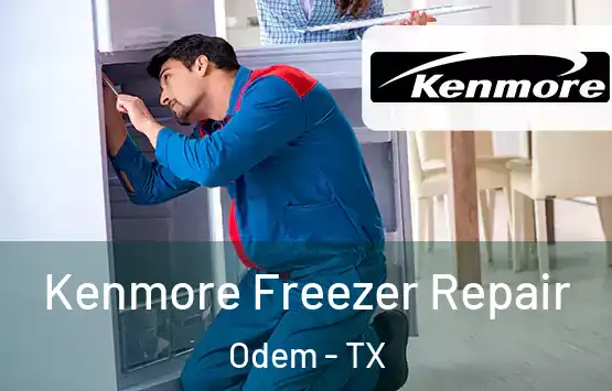 Kenmore Freezer Repair Odem - TX