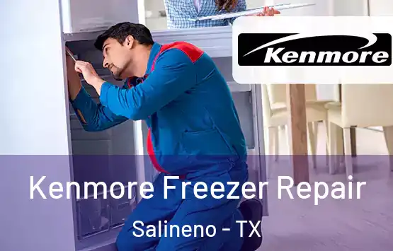  Kenmore Freezer Repair Salineno - TX
