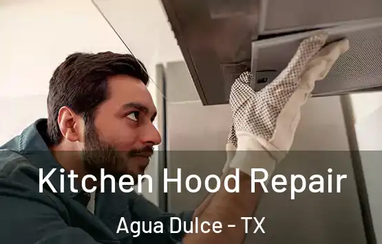  Kitchen Hood Repair Agua Dulce - TX