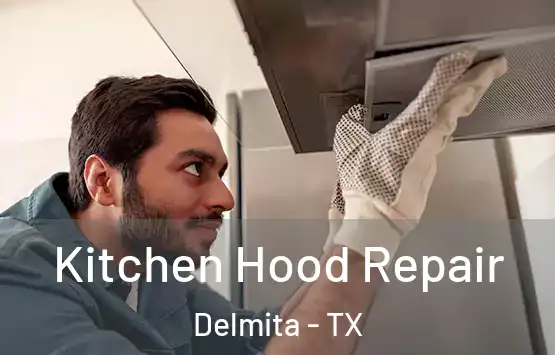  Kitchen Hood Repair Delmita - TX