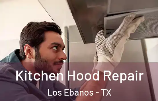  Kitchen Hood Repair Los Ebanos - TX