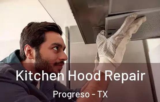  Kitchen Hood Repair Progreso - TX