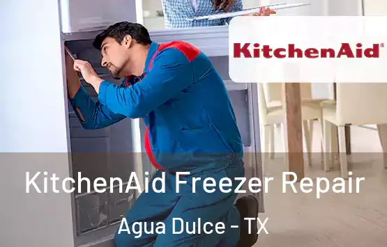  KitchenAid Freezer Repair Agua Dulce - TX