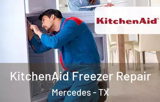  KitchenAid Freezer Repair Mercedes - TX