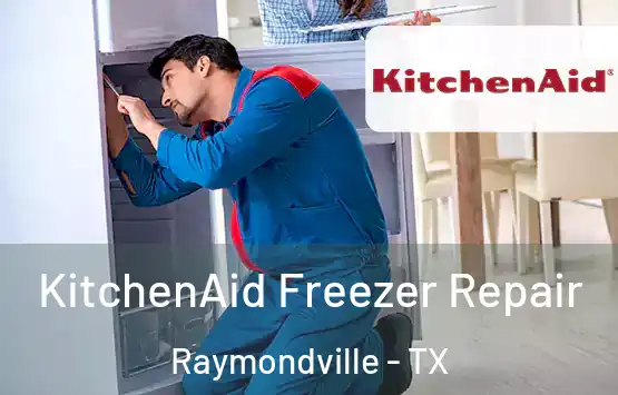  KitchenAid Freezer Repair Raymondville - TX