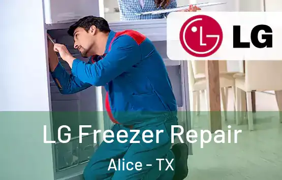  LG Freezer Repair Alice - TX