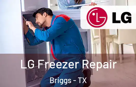  LG Freezer Repair Briggs - TX