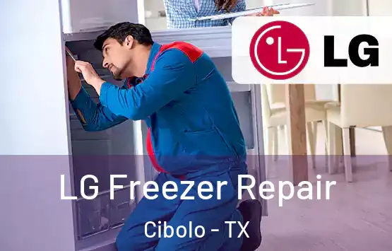  LG Freezer Repair Cibolo - TX