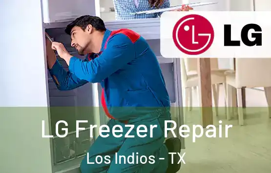  LG Freezer Repair Los Indios - TX