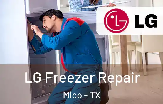  LG Freezer Repair Mico - TX
