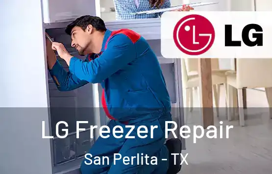  LG Freezer Repair San Perlita - TX