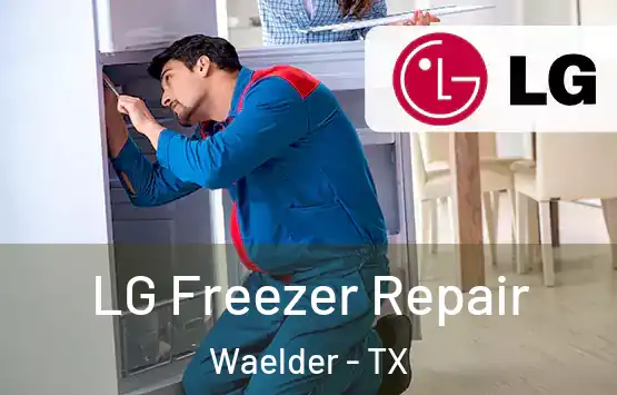  LG Freezer Repair Waelder - TX