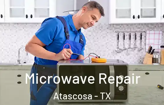  Microwave Repair Atascosa - TX