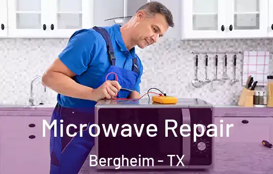  Microwave Repair Bergheim - TX