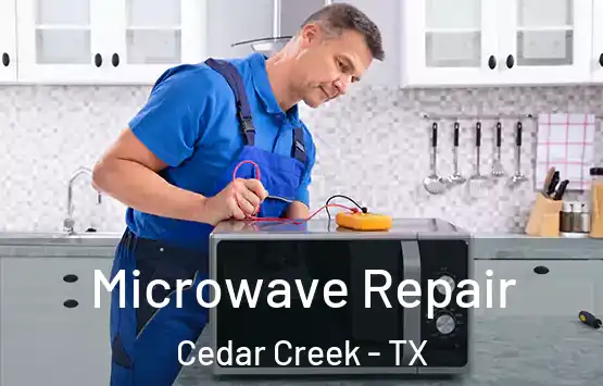  Microwave Repair Cedar Creek - TX