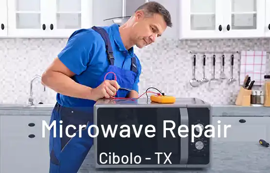  Microwave Repair Cibolo - TX