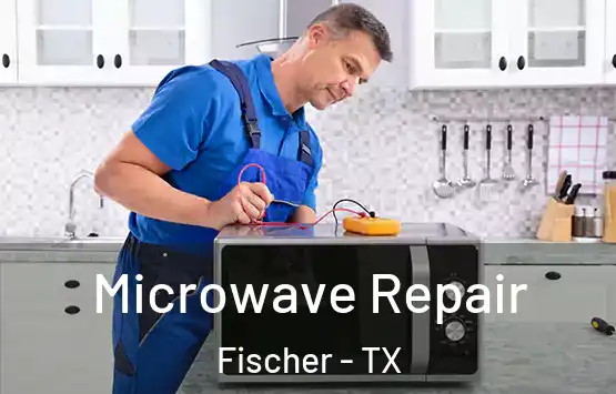  Microwave Repair Fischer - TX