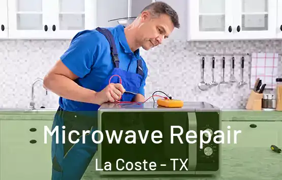  Microwave Repair La Coste - TX