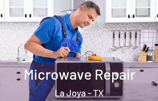  Microwave Repair La Joya - TX