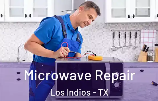  Microwave Repair Los Indios - TX