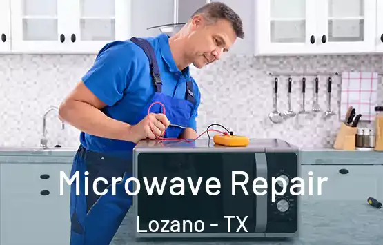  Microwave Repair Lozano - TX