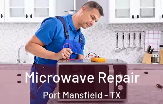  Microwave Repair Port Mansfield - TX