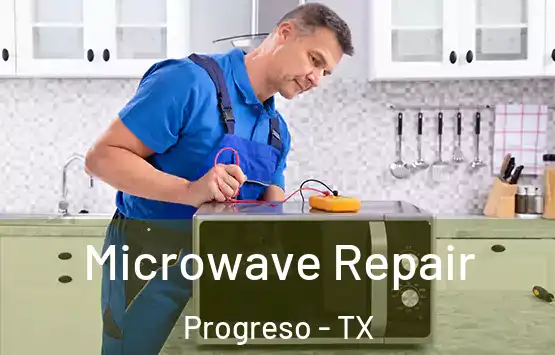  Microwave Repair Progreso - TX