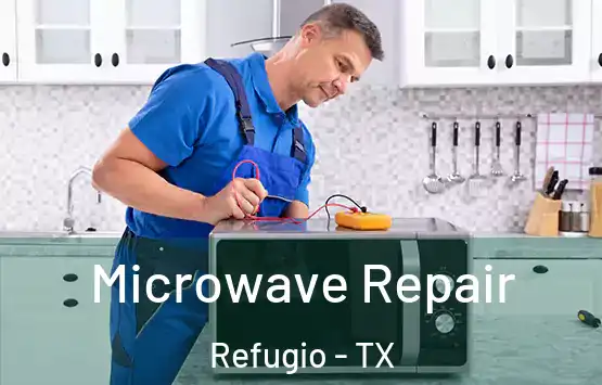  Microwave Repair Refugio - TX