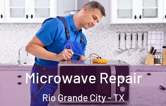 Microwave Repair Rio Grande City - TX