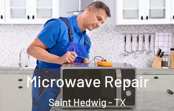  Microwave Repair Saint Hedwig - TX