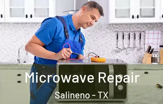  Microwave Repair Salineno - TX