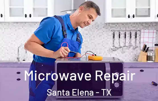  Microwave Repair Santa Elena - TX