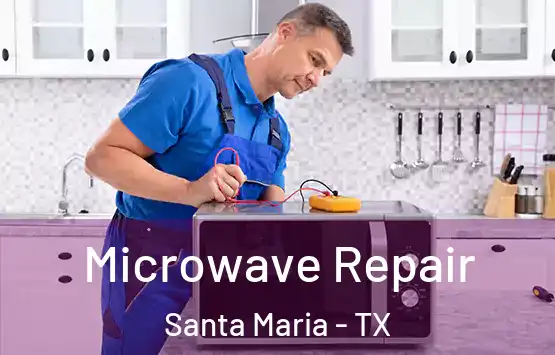  Microwave Repair Santa Maria - TX