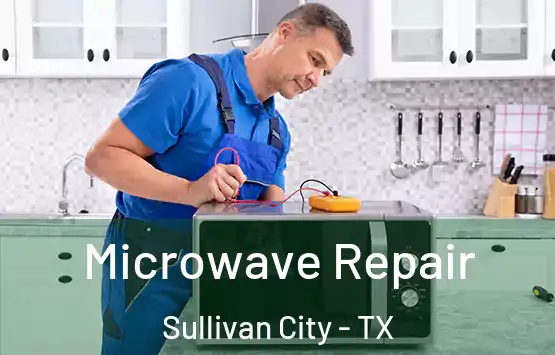  Microwave Repair Sullivan City - TX