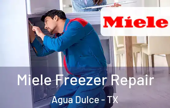  Miele Freezer Repair Agua Dulce - TX