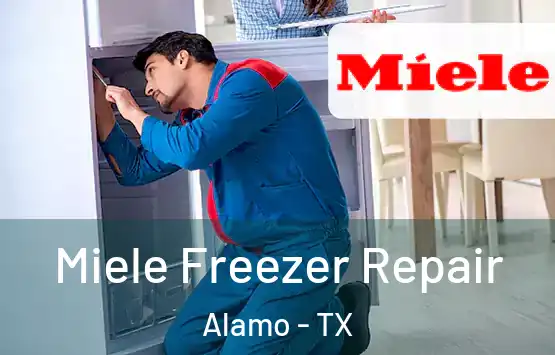  Miele Freezer Repair Alamo - TX