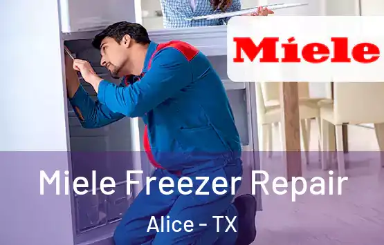  Miele Freezer Repair Alice - TX