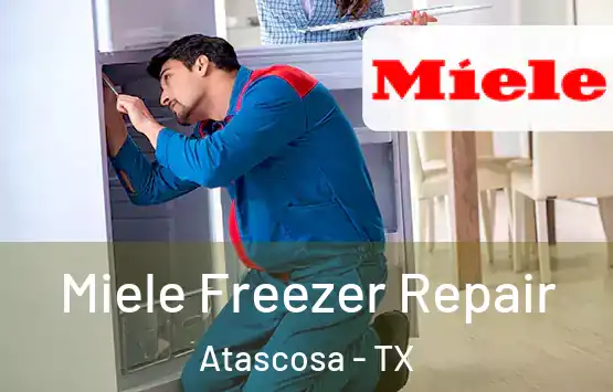  Miele Freezer Repair Atascosa - TX