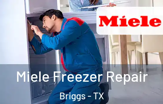  Miele Freezer Repair Briggs - TX