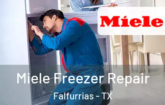  Miele Freezer Repair Falfurrias - TX