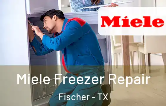  Miele Freezer Repair Fischer - TX