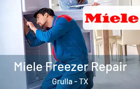  Miele Freezer Repair Grulla - TX