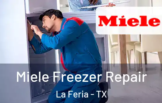 Miele Freezer Repair La Feria - TX