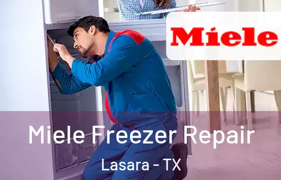  Miele Freezer Repair Lasara - TX