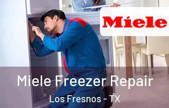  Miele Freezer Repair Los Fresnos - TX