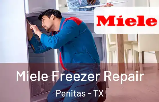  Miele Freezer Repair Penitas - TX