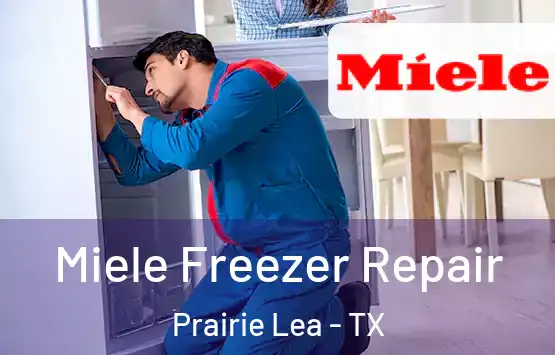  Miele Freezer Repair Prairie Lea - TX