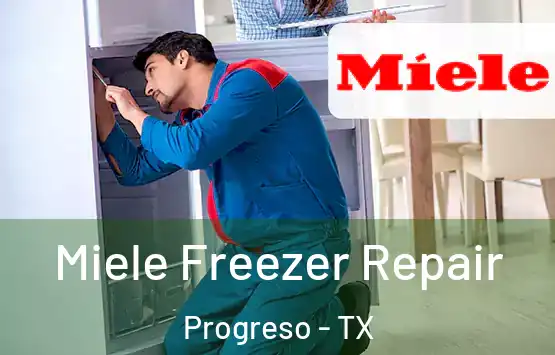  Miele Freezer Repair Progreso - TX